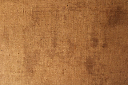 Cerchia di Bernardo Bellotto(1721-1780)- Veduta della residenza imperiale dello Schloss Hof